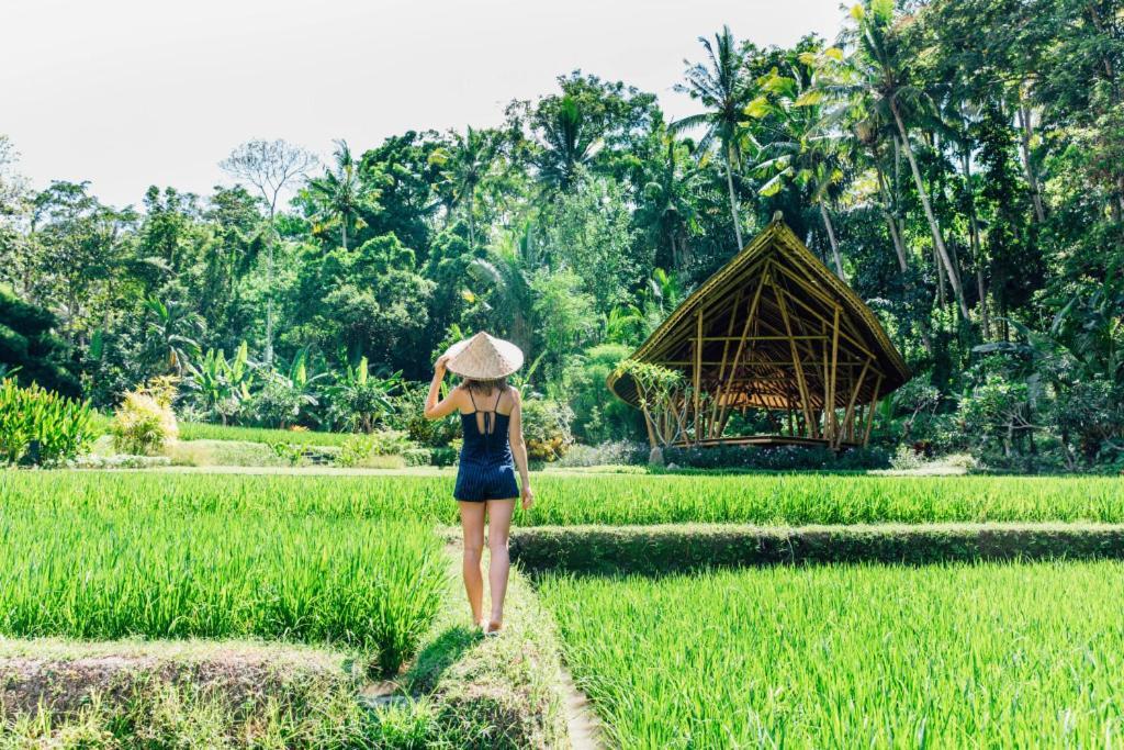 Luxenomads Tanah Lot Oceanview Escape Villa ตาบานัน ภายนอก รูปภาพ